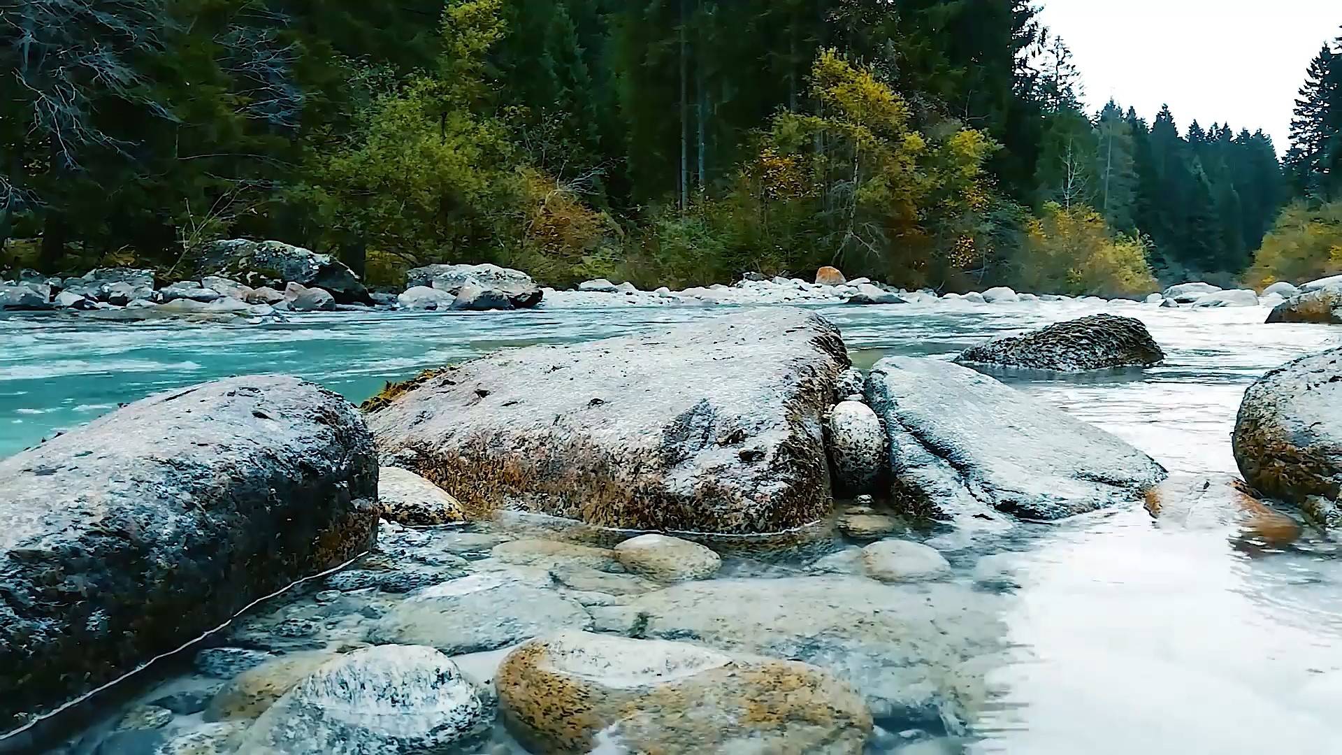 Исцеление звуками водопада  в лесной атмосфере. Мгновенное засыпание под звуки природы