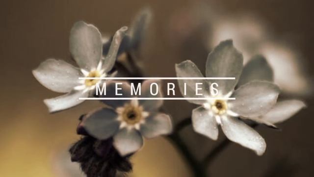 Красивые цветы смотреть онлайн