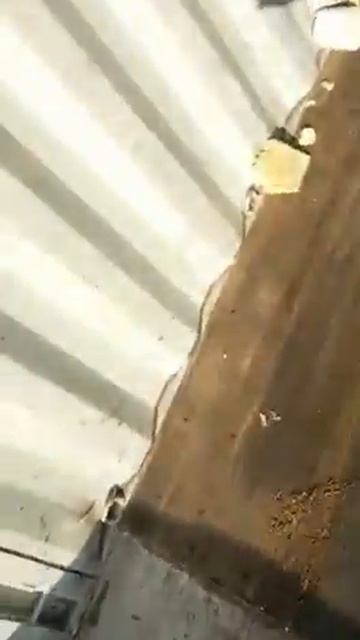 Авто из Кореи. Выгрузка контейнера в Бишкеке. Kia k5. Sonata y20. смотреть онлайн