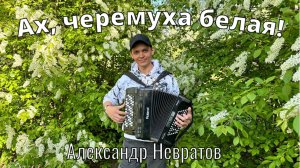 КАКОЙ ГОЛОС! МУРАШКИ ПО КОЖЕ! Ах, черемуха белая. Исп. Александр Невратов.