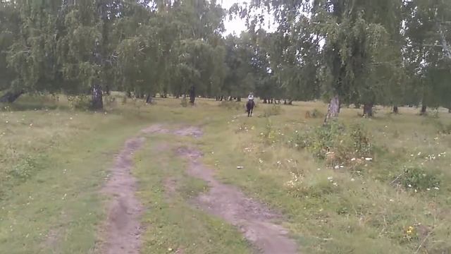 Езда рысью смотреть онлайн