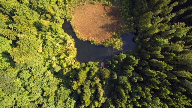Україна, Карпати, водоспад"Кам'янка", гора "Парашка" смотреть онлайн