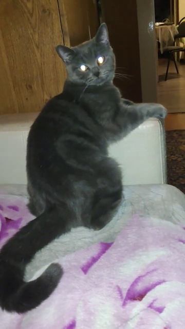 Светишь, лампу убери смотреть онлайн