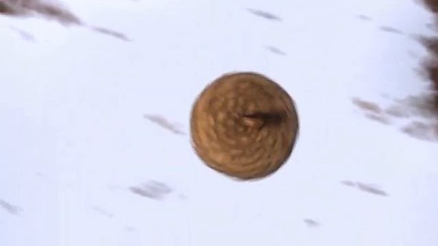 Потерянный орех смотреть онлайн » Мультфильмы смотреть онлайн