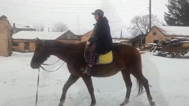Первый раз в седле  Сразу попробовала скакать рысью