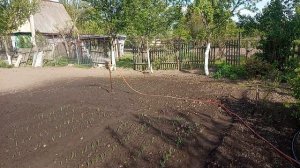 Импульсный дождеватель для полива дачного участка