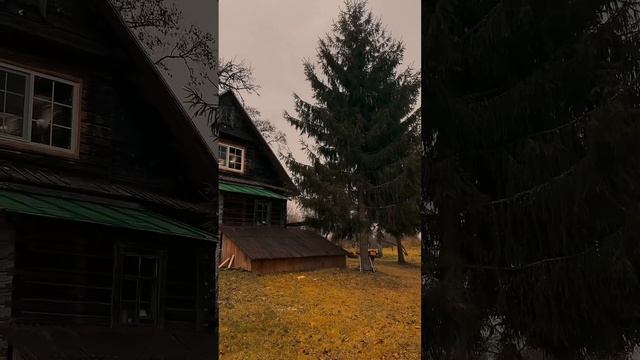 Мои мечты разбились... #хочувдеревню #прикол