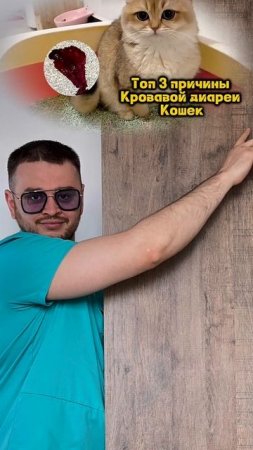 Топ 3 причины 🩸 диареи у кошек