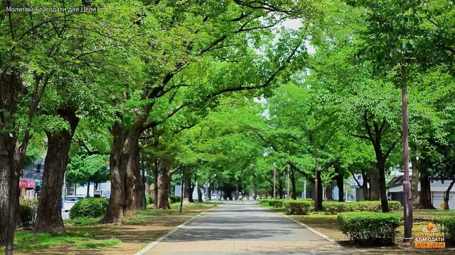 Молитва на благословенное утро | Начните свой день с Божьей защитой смотреть онлайн