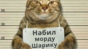 плохой водитель