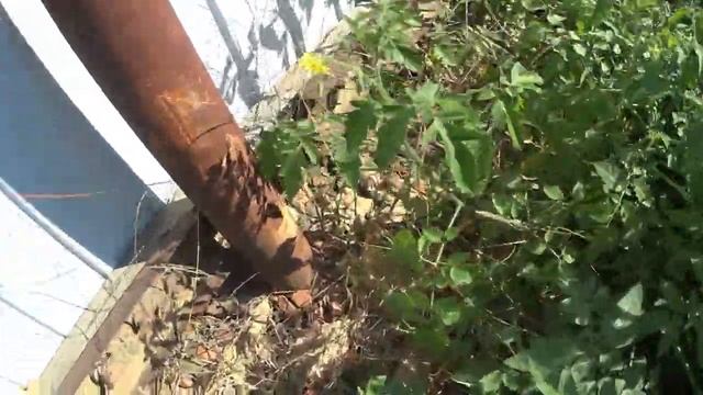 ЖАДНОСТЬ НЕ ПОРОК , А БОЛЬШОЕ СВИНСТВО . смотреть онлайн