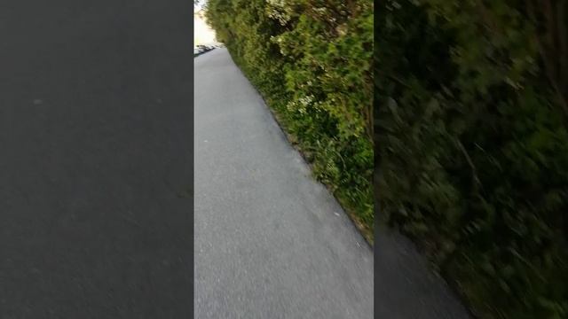 Погода в Санкт-Петербурге на улице Джона Рида и бассейн  16.05.2025