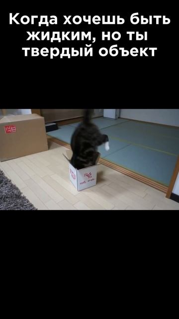 Ультракоротко ⏱️ Агрегатные состояния вещества #Наука #Физика #Интересно #Юмор смотреть онлайн