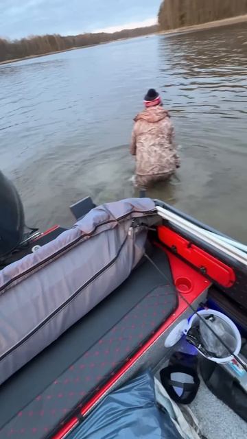 Спасли лосёнка отбившегося на реке от мамки!