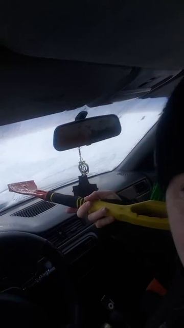 Снежок в машине