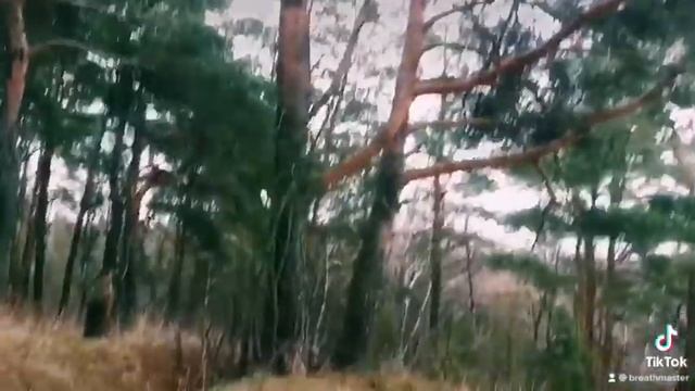 Хип Хоп Мастер