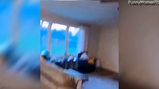 Самые Смешные видео ,99% проиграют | 229 секунд смеха | Смешные видео 2024 смотреть онлайн