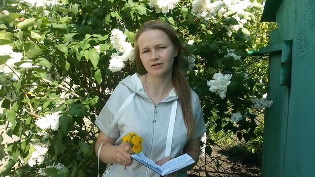 Йййй смотреть онлайн