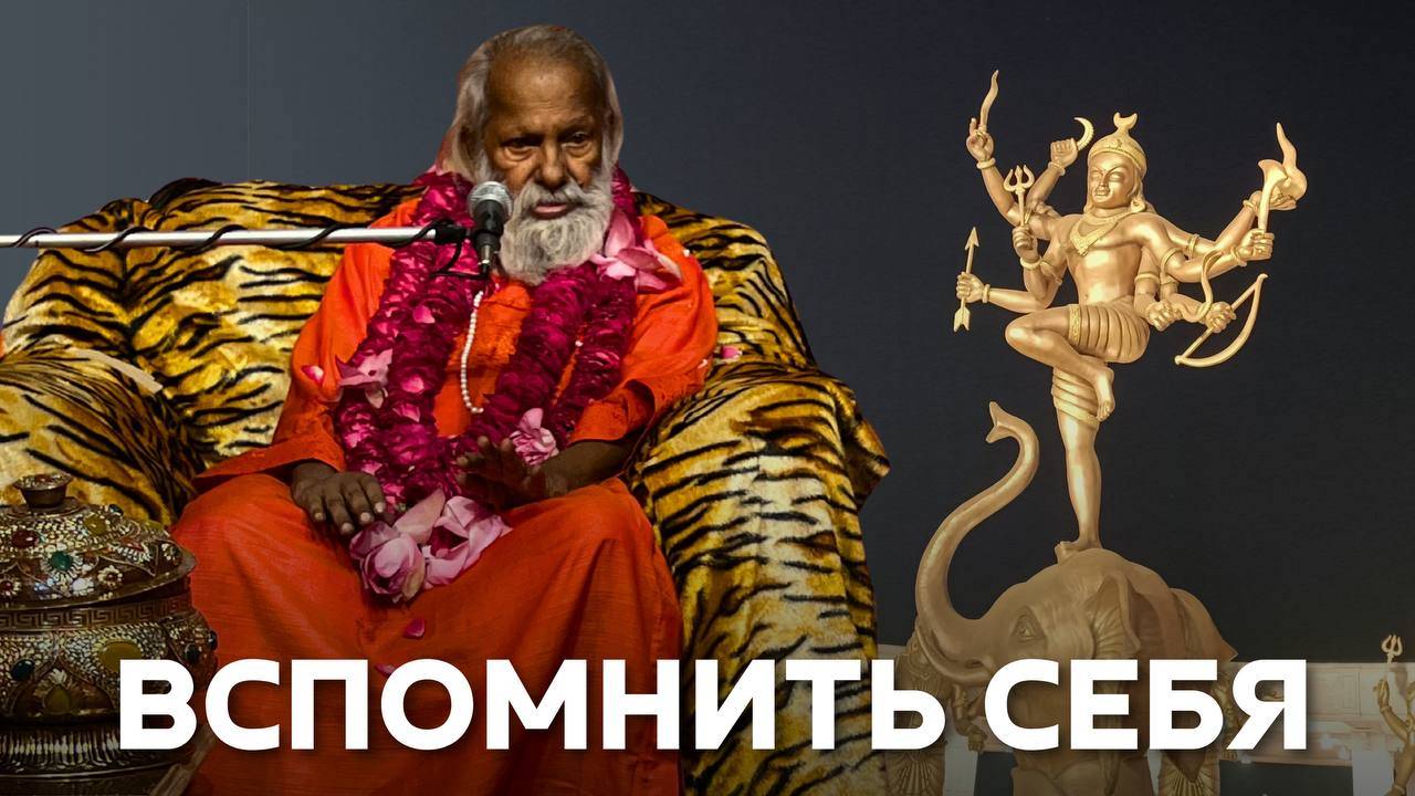 Обрети внутреннюю силу. Пайлот Бабаджи о душе и пути домой / Awaken Your Inner Power - Pilot Babaji