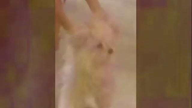 Клип милый кексик 🎬 смотреть онлайн