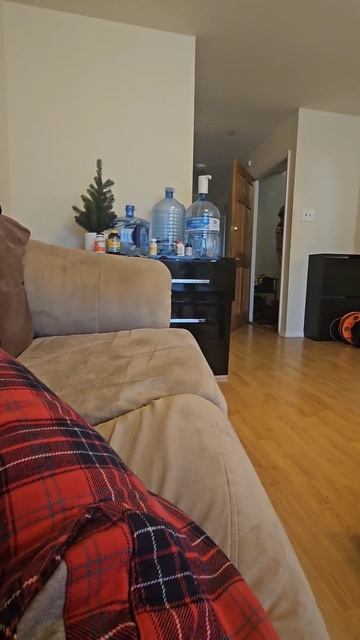 Не работающий муж - основа счастливой семьи #семья #мат смотреть онлайн