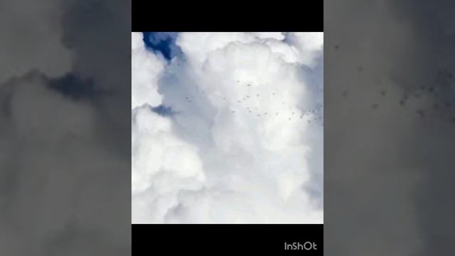 Память о Жанне фриске смотреть онлайн