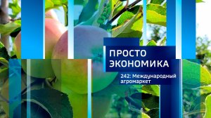 Просто экономика N242