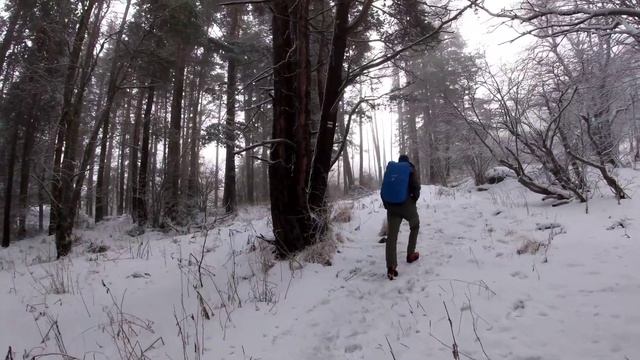 Зимна Витоша смотреть онлайн