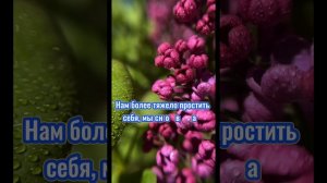 С добрым утром! Бог не оставит тебя! Христианское пожелание!