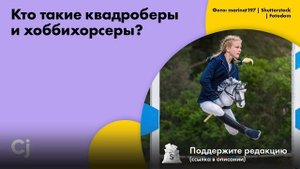 Кто такие квадроберы и хоббихорсеры?