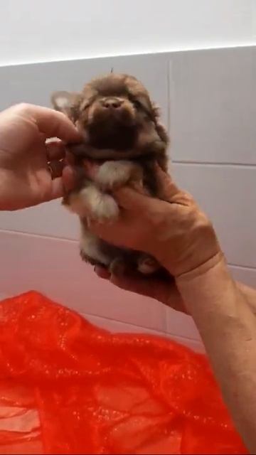 3 мая 2022 г. смотреть онлайн