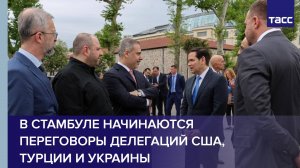В Стамбуле начинаются переговоры делегаций США, Турции и Украины