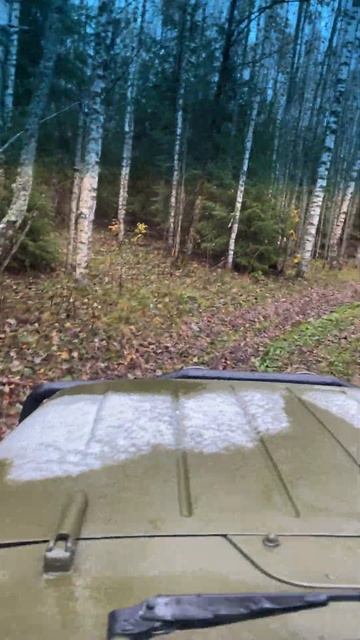 двигаюсь без повода ч2#леснойскобарь#2023#лес#коп#металл смотреть онлайн