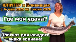 🪩♊️ЮПИТЕР в Близнецах. АСТРОЛОГИЧЕСКИЙ ПРОГНОЗ для каждого знака зодиака.