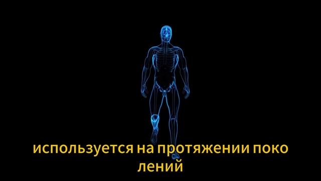 Топ-5 привычек, которые каждый мужчина ДОЛЖЕН выполнят смотреть онлайн