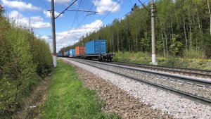 Поезда на БМО: перегон Бекасово Сорт. - Кресты