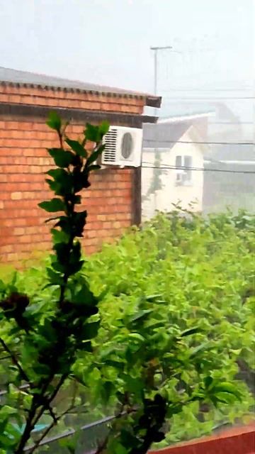 СУМАСШЕДШИЙ ГРАД в ЕЙСКЕ! #shorts #ейск #ейск2023 #отдыхвейске #ейскжилье смотреть онлайн