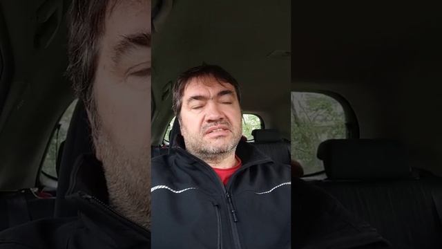 Когда лучше высеивать семена томатов на рассаду смотреть онлайн