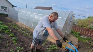 Строим, пашем, без дела не сидим