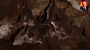 Момент. 2 Серия-