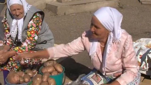 Ягода-малина нас к себе манила... смотреть онлайн