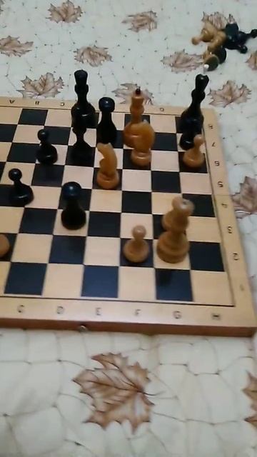 Задача 1. Урок 2. Шахматы. #chess24 #shorts смотреть онлайн