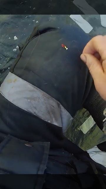 Вот такая замечательная мормышка. #селигер #рыбалка смотреть онлайн