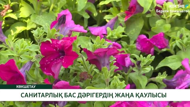 САНИТАРЛЫҚ БАС ДӘРІГЕРДІҢ ЖАҢА ҚАУЛЫСЫ смотреть онлайн
