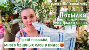 Непентес. Долго ждала их и….😭. В видео ненормативная лексика 🤬.