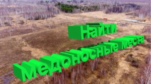 Как правильно выбрать место для пасеки? Советы от Профессора Кашковского