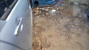 Gryphon PRO 200 от DL Audio в Миру