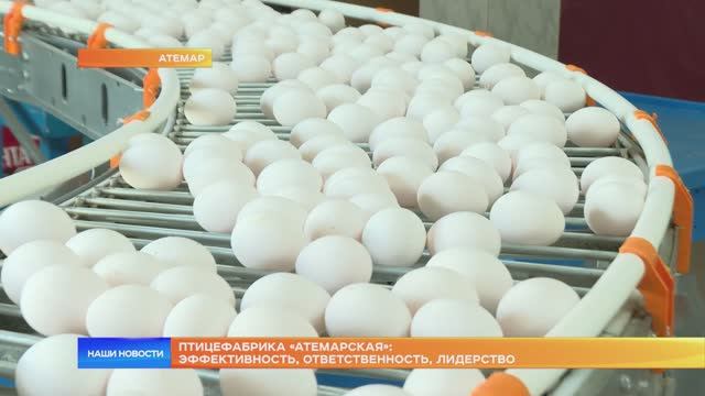 Птицефабрика «Атемарская»: эффективность, ответственность, лидерство