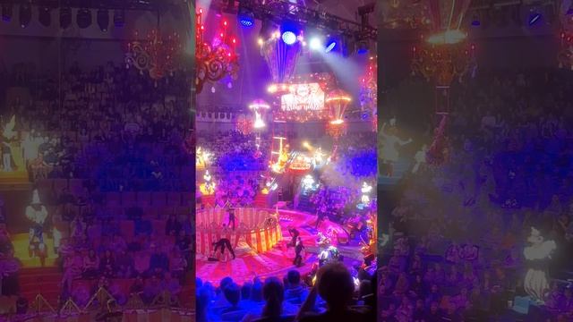 Семейный поход в цирк в первый раз  🎪 смотреть онлайн