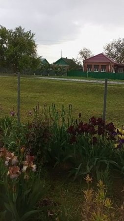 Интересная Птичка